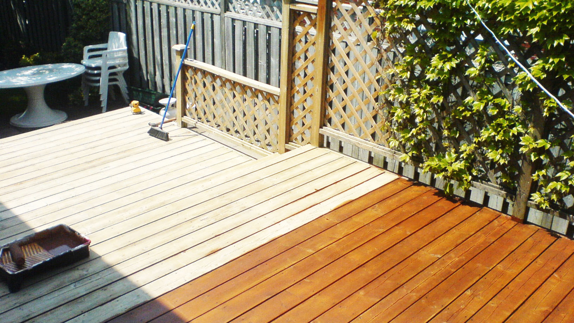 Deck Clean & Staining